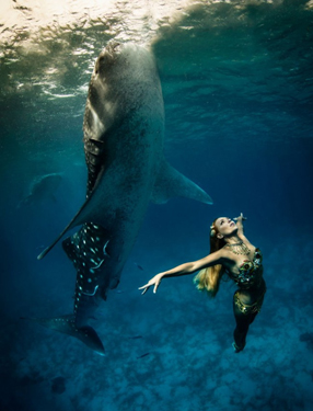 与鲨鱼共舞 惊险海底时尚摄影
